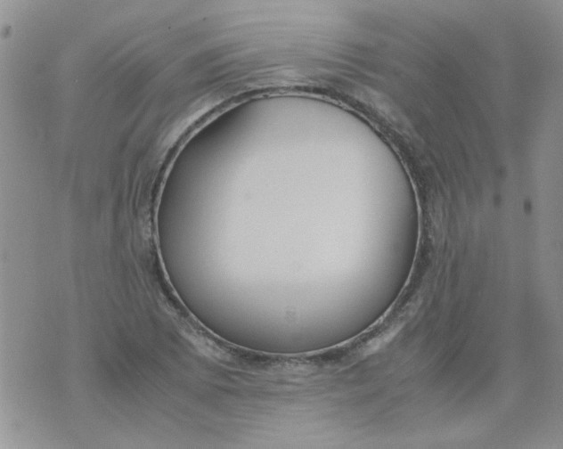 X0000071861073200607211911