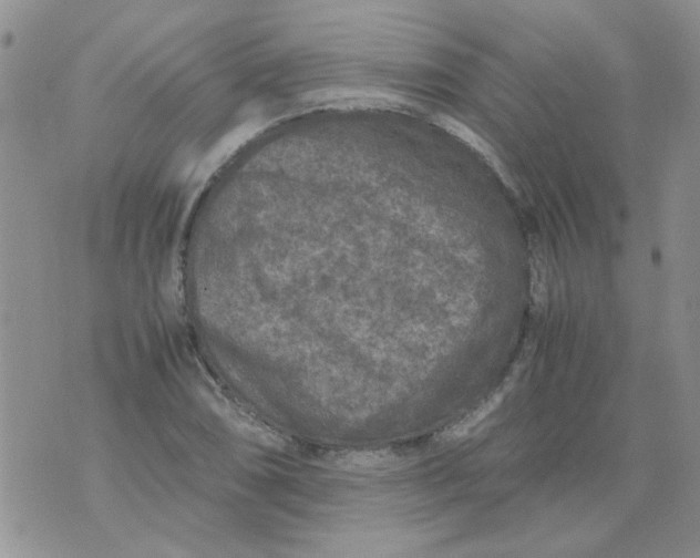 X0000071861074200607211911