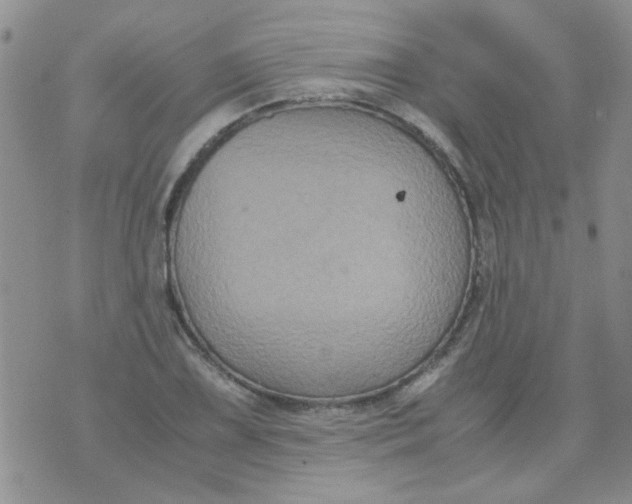 X0000071861075200607211911