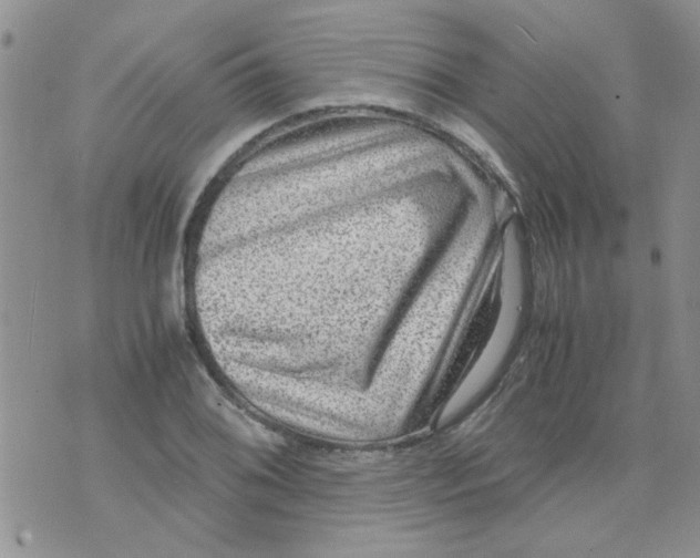 X0000071861076200607211911