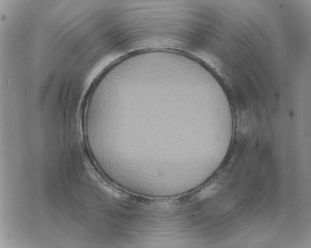 X0000071861078200607211911