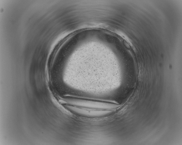 X0000071861080200607211911