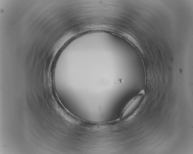 X0000071861082200607211911