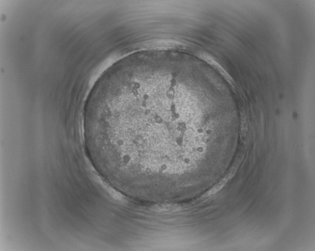 X0000071861083200607211911