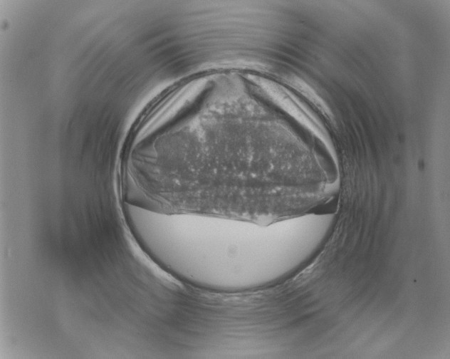 X0000071861084200607211911