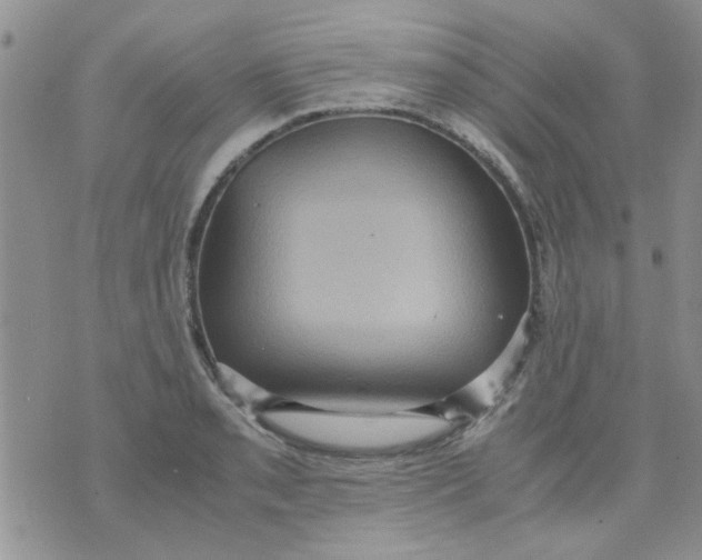 X0000071861085200607211911