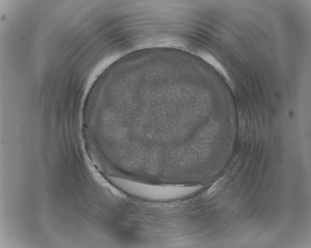 X0000071861088200607211911