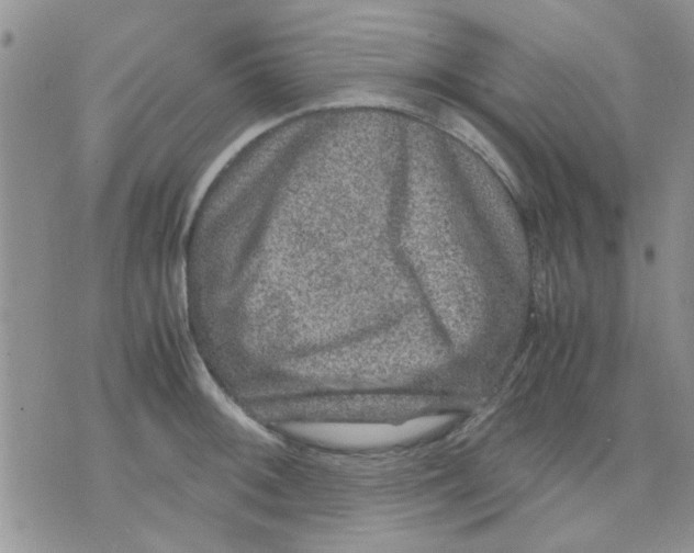 X0000071861092200607211911