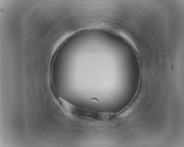 X0000071861093200607211911