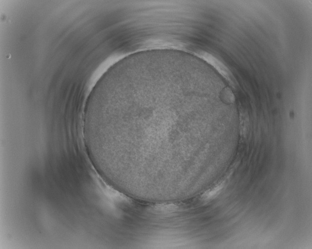 X0000071861094200607211911