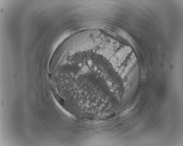 X0000071861095200607211911