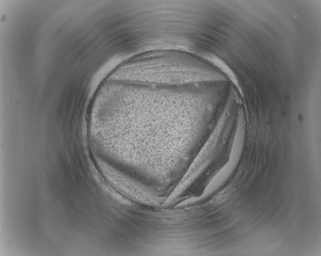 X0000071861096200607211911