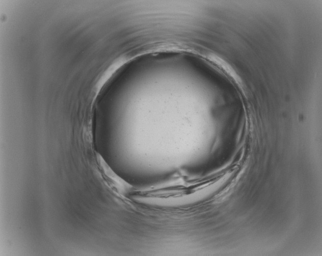 X0000071861097200607211911