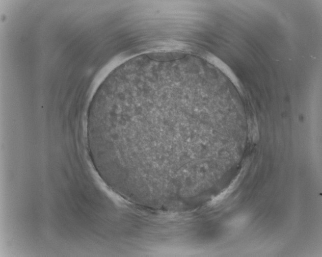 X0000071861099200607211911