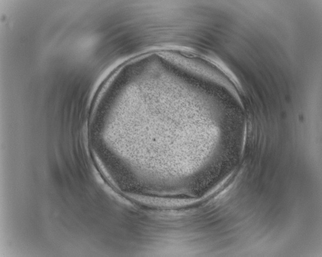 X0000071861100200607211911