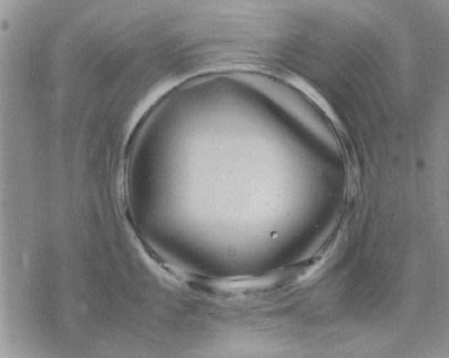 X0000071861101200607211911