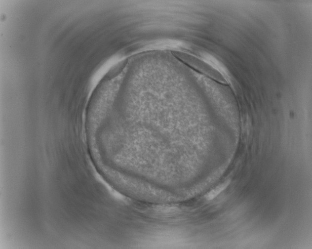 X0000071861103200607211911