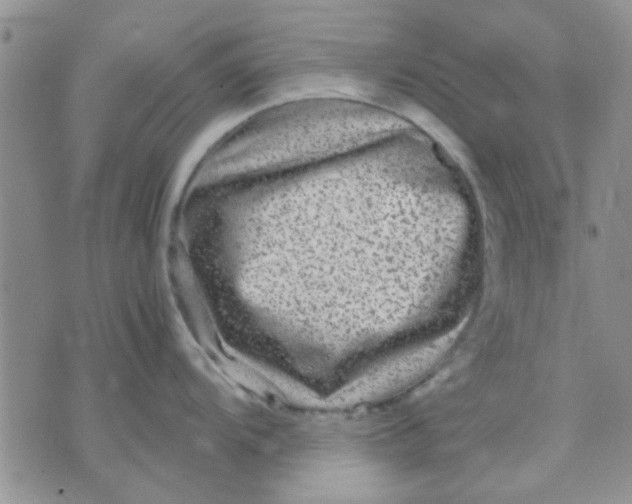 X0000071861104200607211911