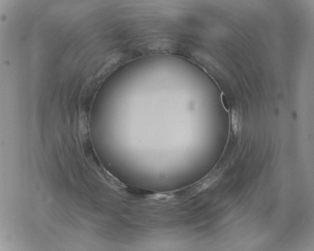 X0000071861107200607211910