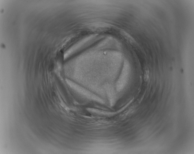 X0000071861108200607211910