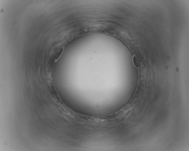 X0000071861109200607211910