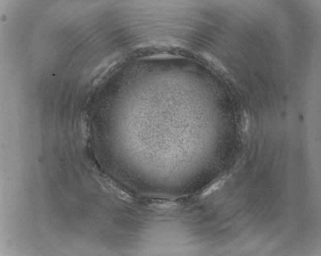 X0000071861110200607211910