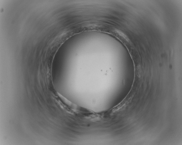 X0000071861111200607211910