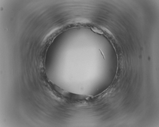 X0000071861112200607211910