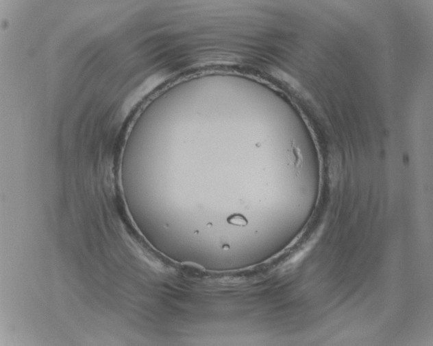 X0000071861113200607211910