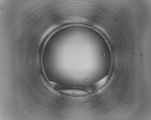 X0000071861114200607211910