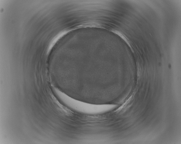 X0000071861115200607211910