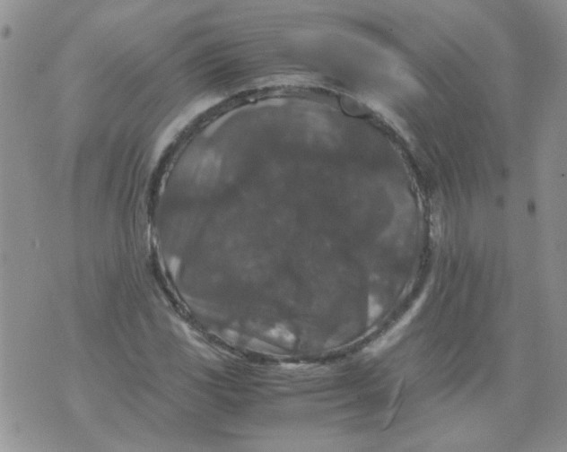 X0000071861117200607211910