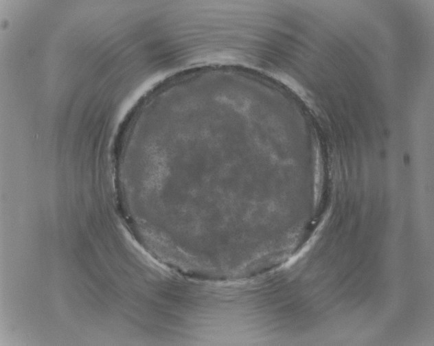 X0000071861118200607211910