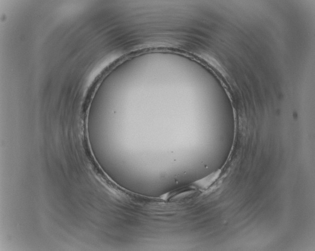 X0000071861119200607211910