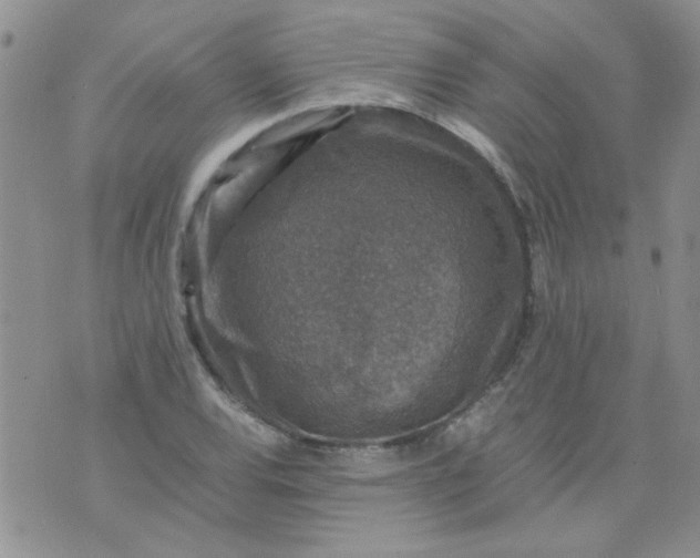 X0000071861120200607211910