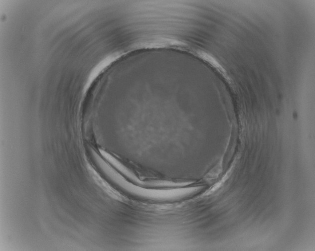 X0000071861122200607211910