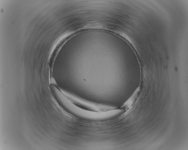 X0000071861123200607211910