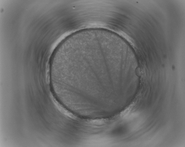 X0000071861126200607211910