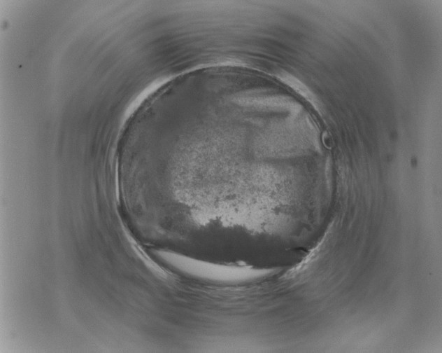 X0000071861127200607211910