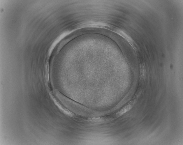 X0000071861128200607211910