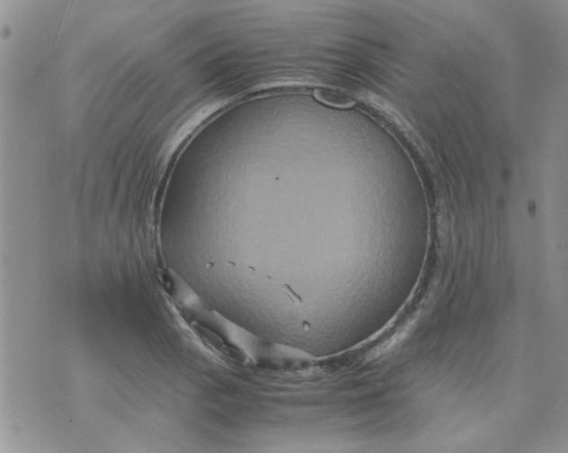 X0000071861129200607211910