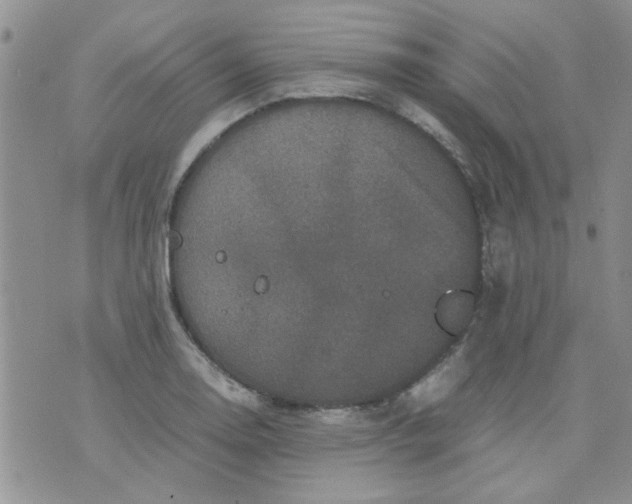 X0000071861130200607211910