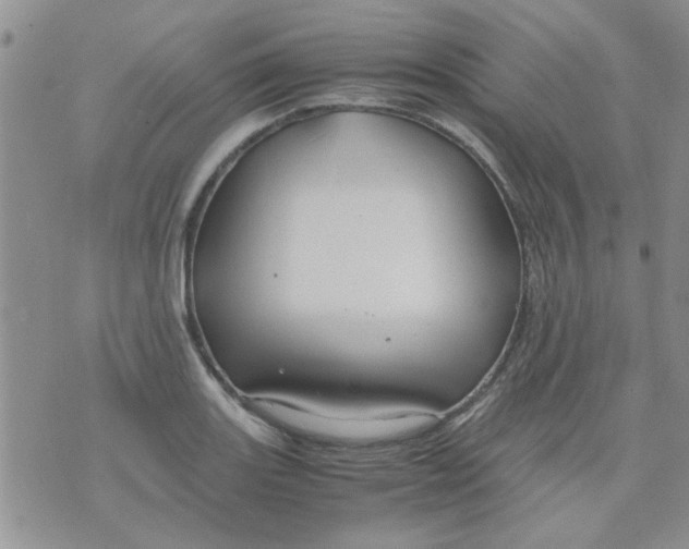 X0000071861131200607211910