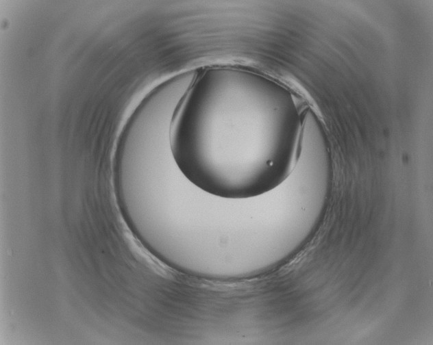 X0000071861132200607211910