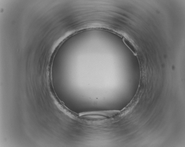 X0000071861134200607211910