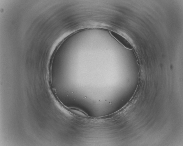 X0000071861136200607211911