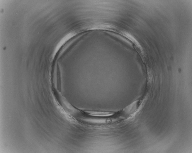 X0000071861138200607211911