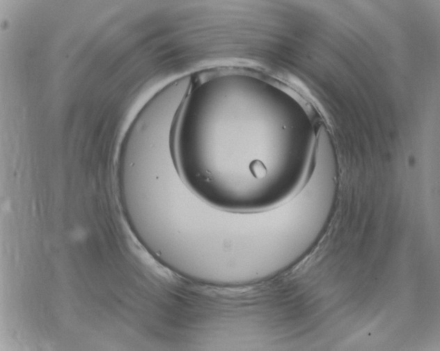 X0000071861140200607211911