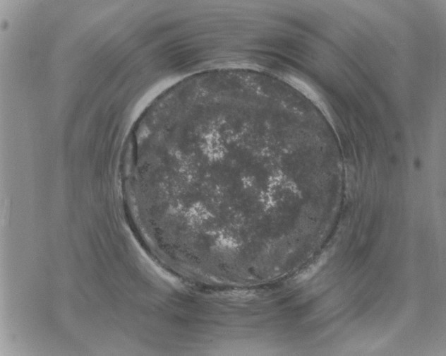 X0000071861141200607211911