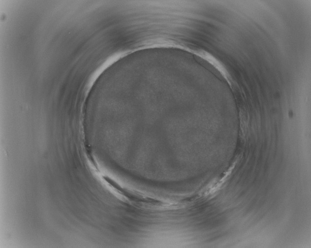 X0000071861142200607211911